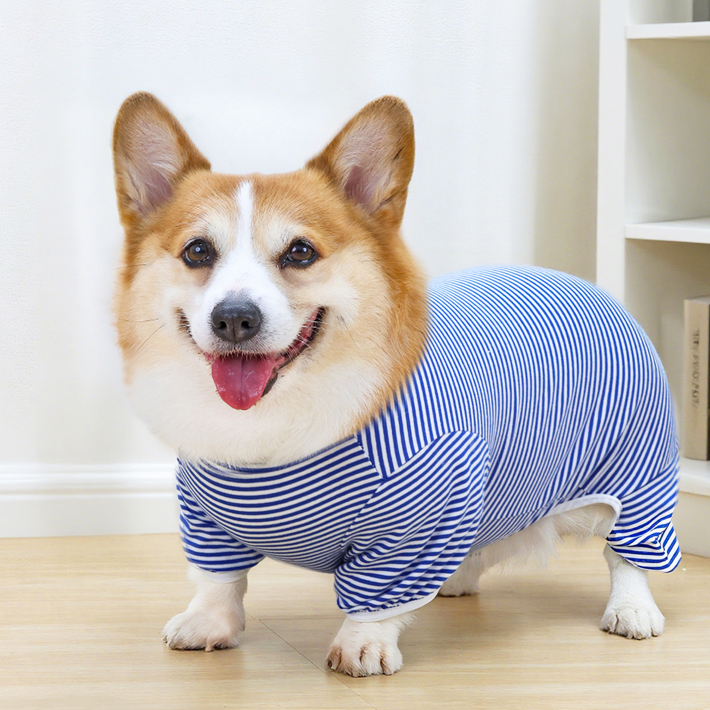 宠物狗狗四脚衣服秋冬全包防着凉