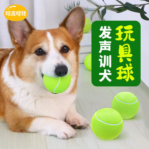 宠物狗狗玩具解闷训犬磨牙玩具球