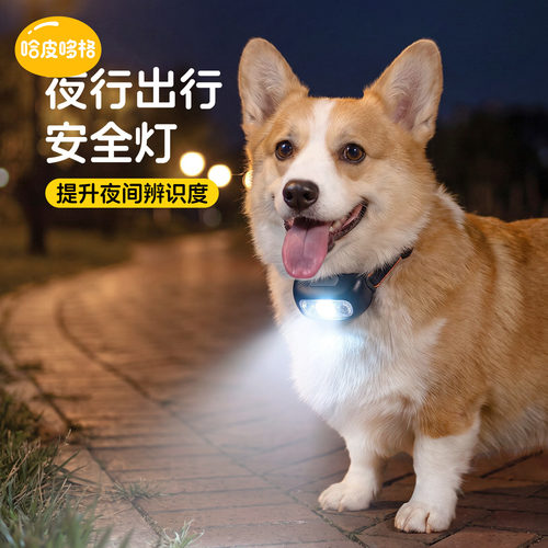 宠物狗狗夜间出行灯防走失警示灯