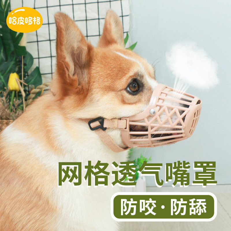 狗狗防咬嘴罩乱叫嘴巴套柯基头套图片
