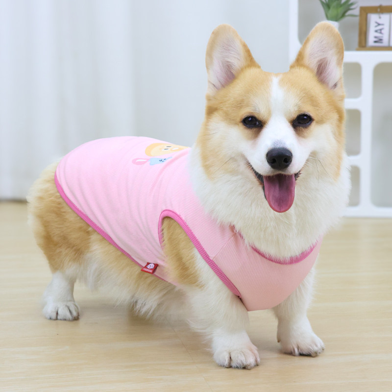 宠物狗狗衣服夏季薄款高颜值背心图片