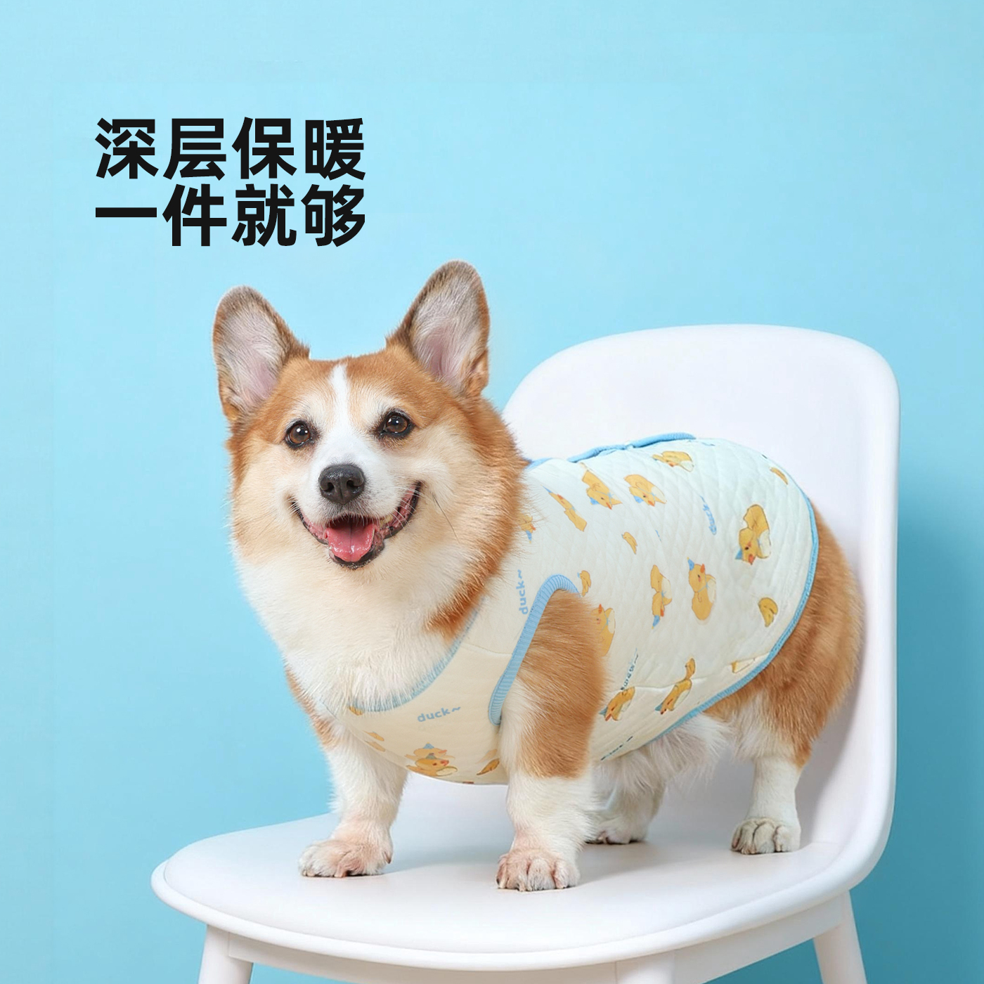 宠物狗狗衣服秋冬款柯基纯棉马甲