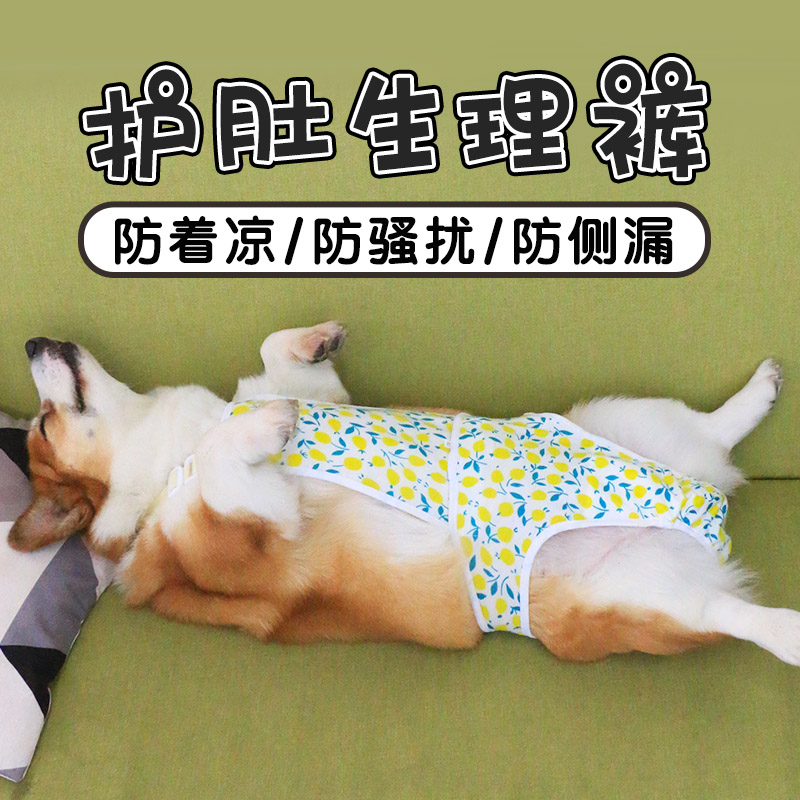 宠物狗狗姨妈裤女狗生理裤月经裤