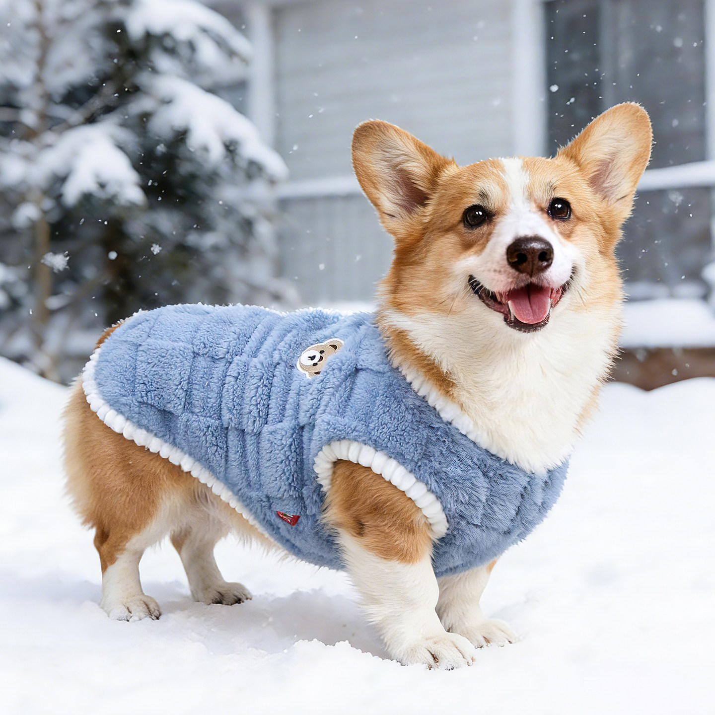 宠物狗狗衣服秋冬款马甲背心加厚保暖冬季柯基泰迪柴犬中型犬睡衣,宠物/宠物食品及用品,狗宠物服装/雨衣,淘宝优惠券,粉丝福利购,淘宝优惠卷