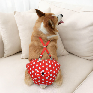 狗狗生理裤母狗女狗姨妈裤安全裤生理期防骚扰防交配柯基大姨妈裤