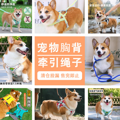 宠物狗狗牵引绳狗链胸背清仓捡漏