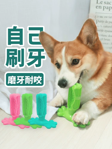 Собачья игрушка пять -летняя магазин шесть цветных игрушек для любимой собаки измельчающий зубной зубной зубной зубной зуб