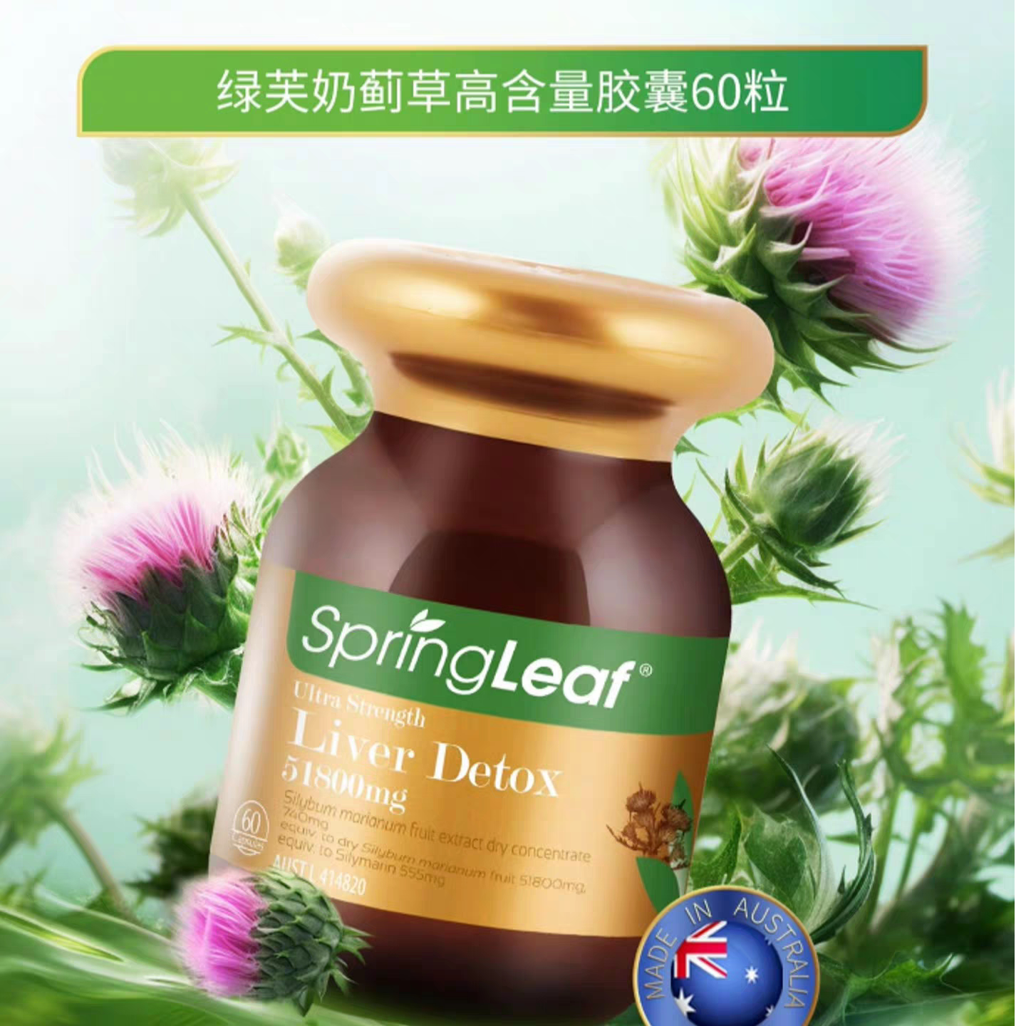 澳洲SpringLeaf绿芙高含量奶蓟草水飞蓟素60粒保质期2027年6月