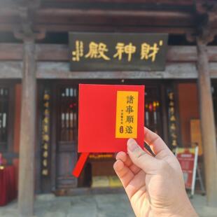 灵运斋盲盒抽福宝