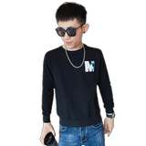 卫衣秋季男士印花字母春秋款潮牌痞帅网红打底衫长袖圆领T恤衫P55，男装T恤，电商A270