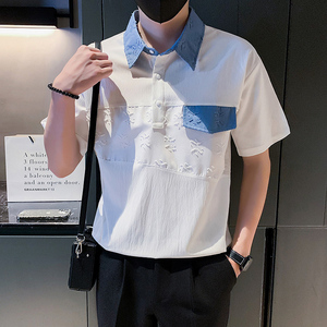夏季男士t恤男装短袖修身半袖翻领潮流体恤polo衫高级感痞帅P48图片