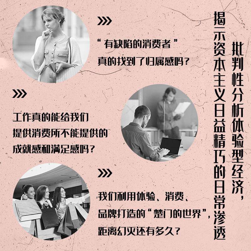 体验型社会:消费资本主义重启:consumer capitalism rebooted斯蒂芬·迈尔斯  书社会科学书籍