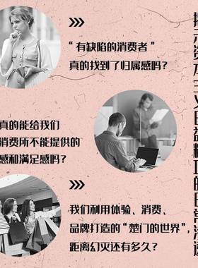 体验型社会:消费资本主义重启:consumer capitalism rebooted斯蒂芬·迈尔斯  书社会科学书籍