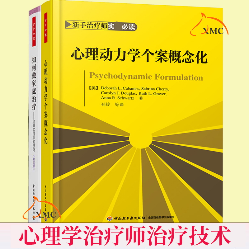 正版包邮 如何做家庭治疗:临床实践中的技巧+心理动力学个案概念化 理治疗指南书 心理咨询师工作指导书 心理学教材书籍
