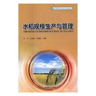 水稻栽培技术培训教材教材书籍 水稻规模生产与管理 书许林