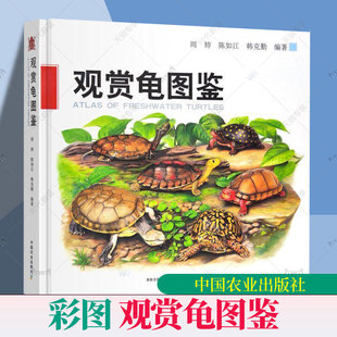9787109305786 社 周婷 龟科图集 观赏龟产业现状和发展趋势 韩克勤 观赏龟图鉴 陈如江 中国农业出版 正版 观赏龟养殖技术书 包邮