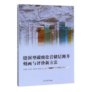 书工业技术书籍 缝洞型碳酸盐岩储层测井刻画与评价新方法刘国强