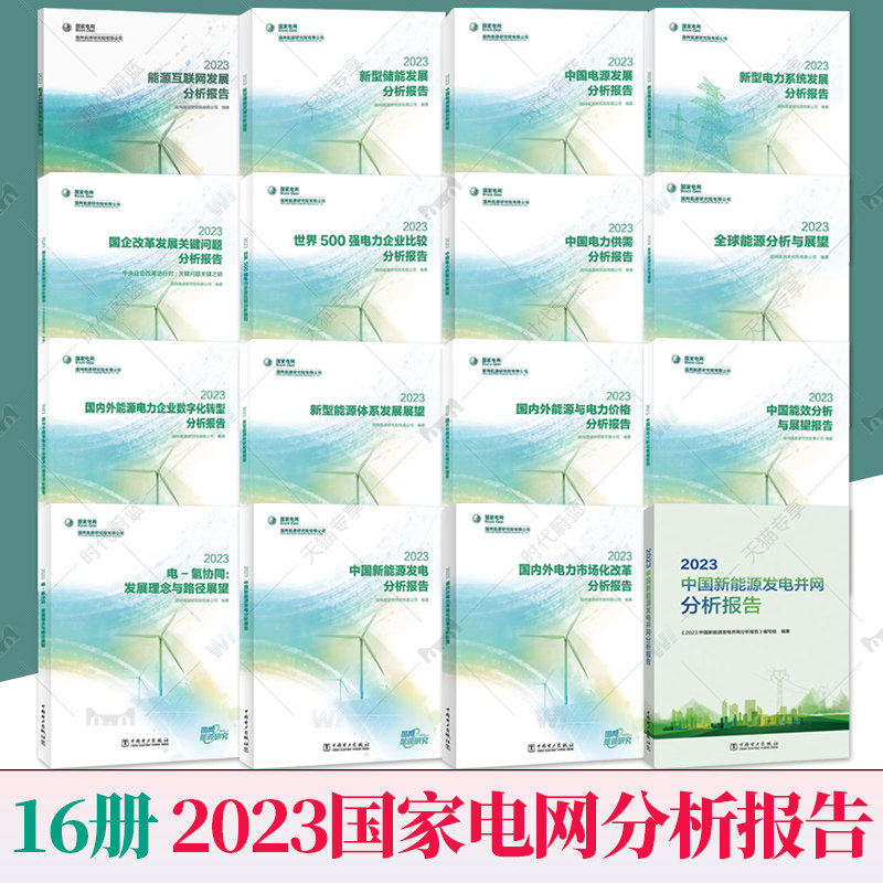 任选】中国新能源发电分析报告2023中国电力供需分析报告电 氢协同新型储能发展分析报告世界500强电力企业比较分析报告书籍