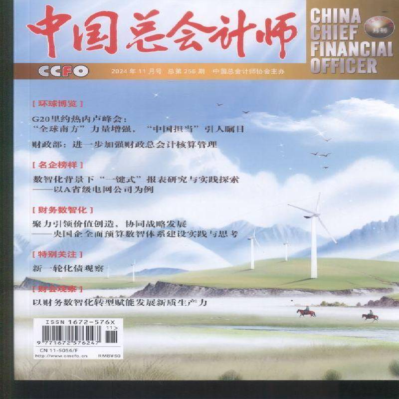 中会计师 2024年-11期 期刊杂志期刊杂志订阅 过刊 过期期刊 过期杂志书刊学术期刊书籍