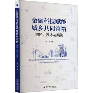 paths 技术与案例 technologies and 书经济书籍 金融科技赋能城乡共同富裕 cases陈啸 路径