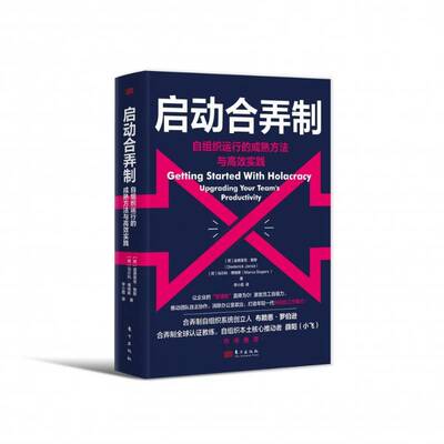 启动合弄制:自组织运行的成熟方法与实践:upgrading your team's productivity迪德里克·詹斯  书管理书籍