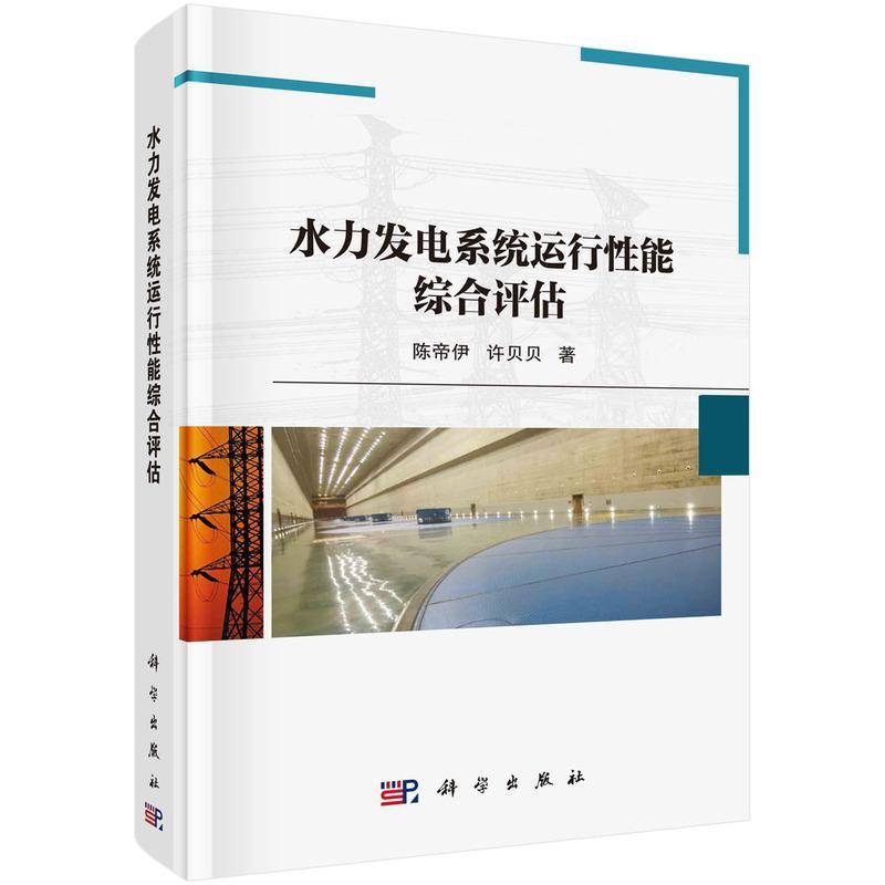 水力发电系统运行性能综合评估陈帝伊  书工业技术书籍