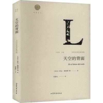 天空的背面:当代拉美名家诗选伊达·维塔莱等  书文学书籍