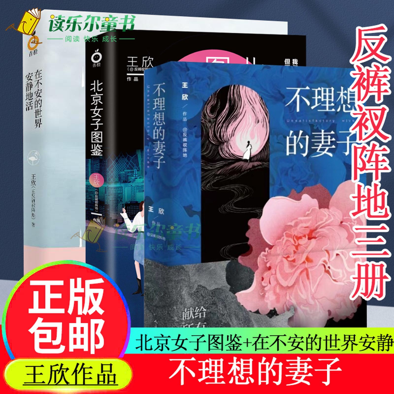 任选】北京女子图鉴在不安的世界安静地活不理想的妻子王欣网络名反裤衩阵地女性城市三部曲女性文学花团锦簇背后隐藏着各自的困境