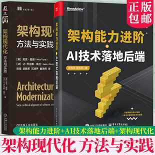架构能力进阶+AI技术落地后端 张伟洋+架构现代化 方法与实践 企业架构 领域驱动设计 数据网格 现代化架构 系统架构技术实现书