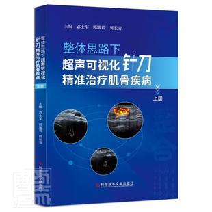 整体思路下超声可视化针刀肌骨疾病（上册） 书宓士军普通大众肌肉骨骼系统针刀疗法医药卫生书籍