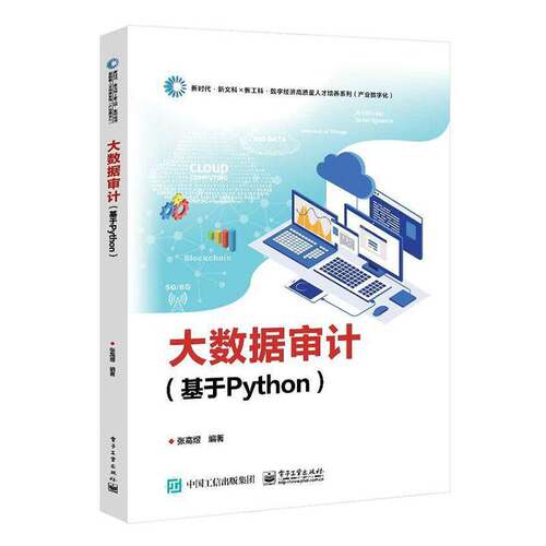 大数据审计(基于Python)张高煜  书经济书籍