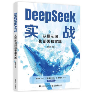 Web UI对话界面搭建 RAG系统构建 DeepSeek实战 电子工业出版 MoE架构与多Token预测 大模型应用书籍 社 从提示词到部署和实践