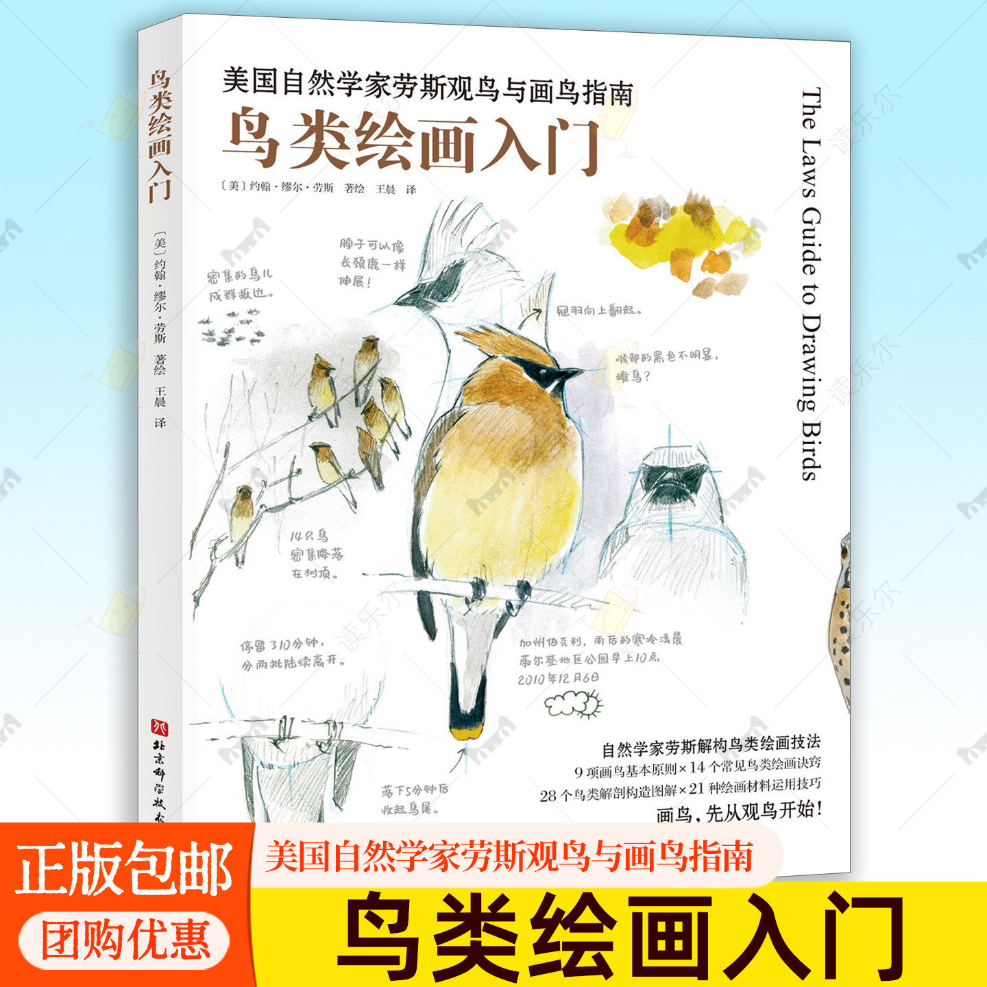 鸟类绘画入门 自然笔记绘画大师(美)约翰&middot;缪尔&middot;劳斯著绘美国自然学家劳斯观鸟与画鸟指南 北京科学技术出版社书籍 9787571454425