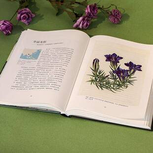 world tour ch·爱德华兹 世界收藏：英国植物园珍藏画作背后 书自然科学书籍 adventures 发现之旅：a botanical 植物猎人