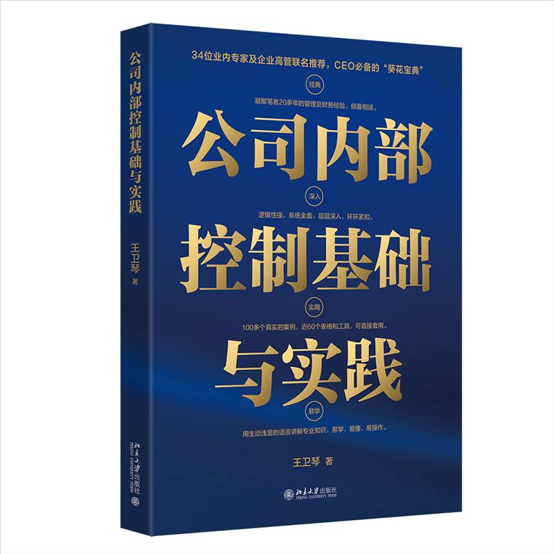 正版 公司内部控制基础与实践 你应该懂的内部控制常识 内部控制基本概念 搭建数字信息化传递系统 内部控制审计 北京大学出版社