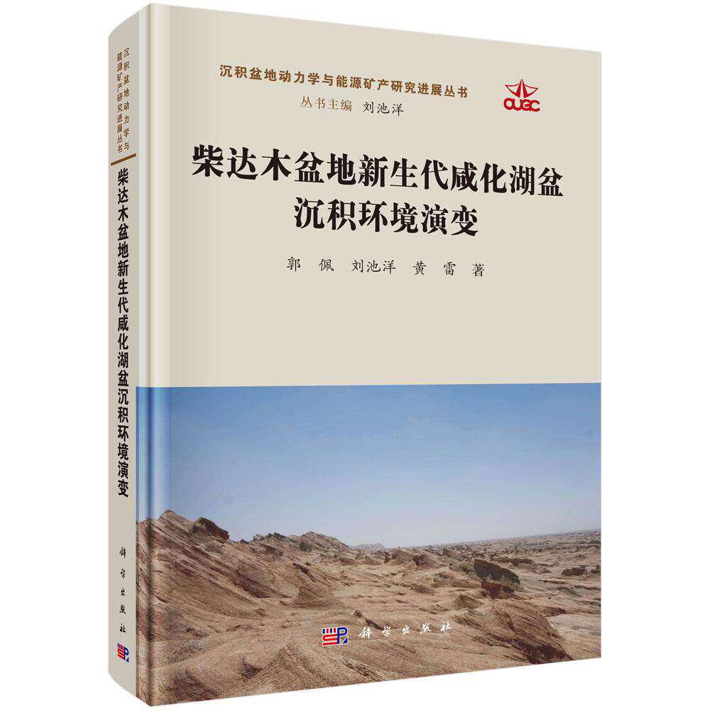 现货速发】柴达木盆地新生代咸化湖盆沉积环境演变 郭佩 刘池洋 黄雷 科学出版社 9787030822390