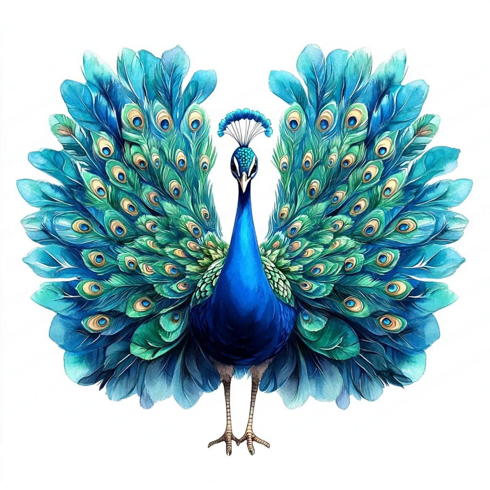 精美开屏孔雀贴纸贴画家用餐厅厨房冰箱贴橱柜装饰自粘贴