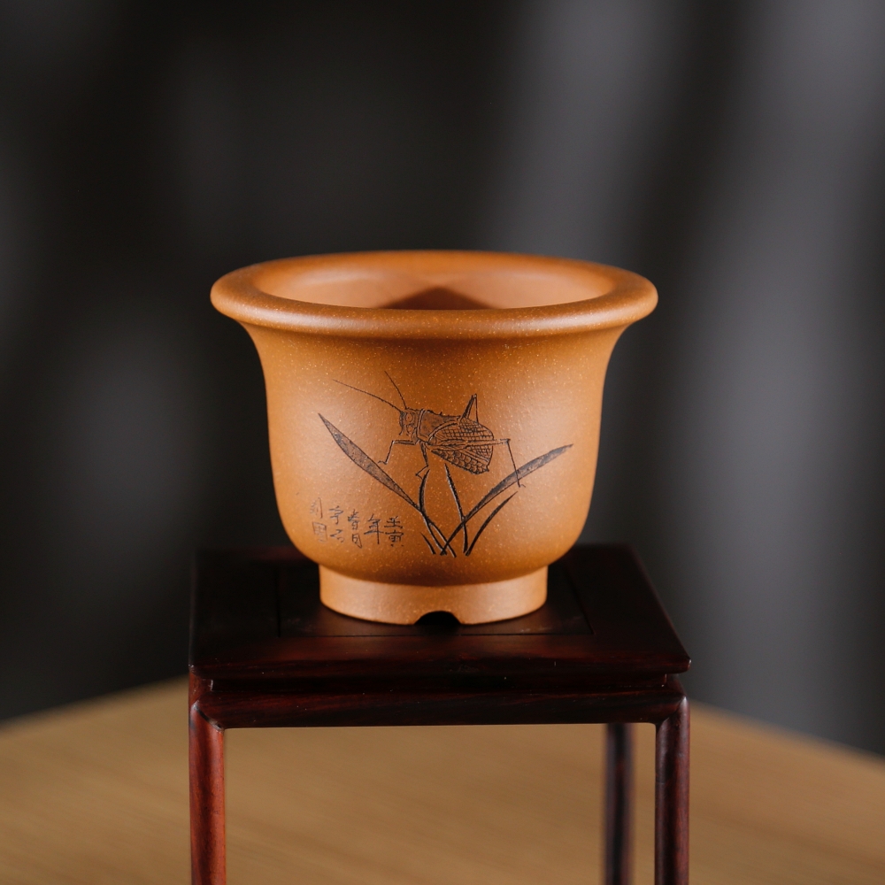 特价微型小号迷你金钟唯珍紫砂盆