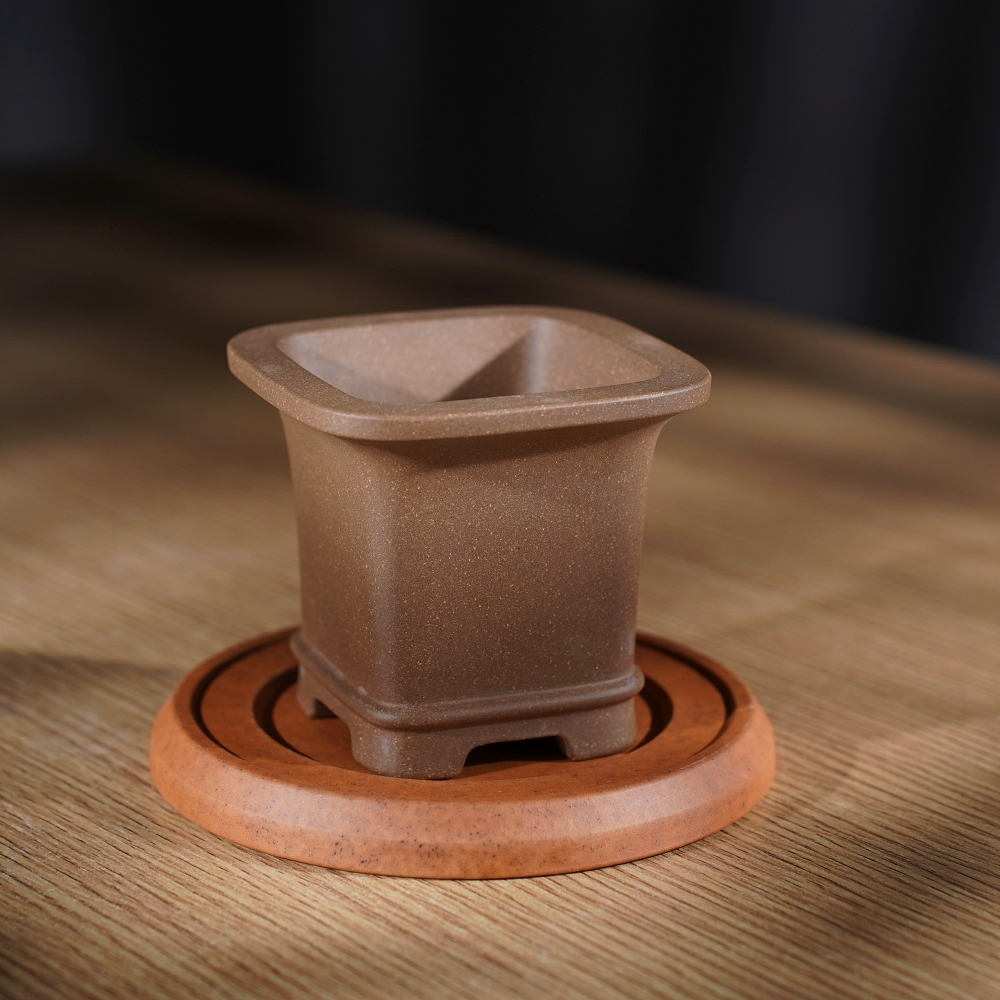 微型老段泥菖蒲多肉紫砂盆景花盆