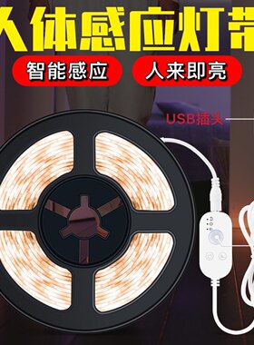 LED灯带USB插电鞋柜床底浴室防水
