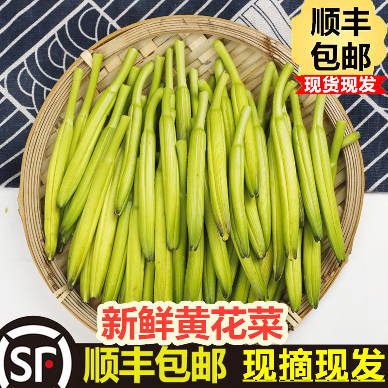 黄花菜新鲜2斤特级金针菜时令当季蔬菜凉拌菜酒店食材农产品特产