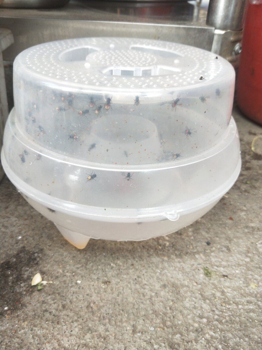 捕蝇器灭苍蝇笼补捉抓苍蝇神器苍蝇杀手诱捕蝇笼家用餐厅强力灭蝇