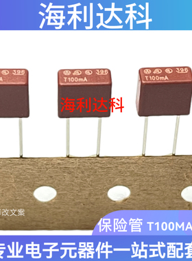 396方形 T100MA 125V TE5超小型 慢熔断一次性保险丝 39601000000