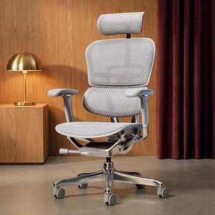 高端人体工学椅电脑椅办公椅电竞椅子 保友金豪E2pro双模式