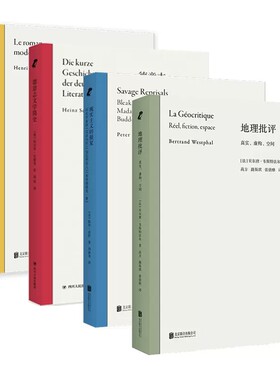 文学理论套装4册:地理批评+现实主义的报复+小说使用说明+德意志文学简史 文学理论文学研究类作品文学史
