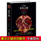 吸血鬼狼人故事电影原著小说外国文学 中文版 暮光之城正版 书籍 马爱农张雅琳等译 正版 暮光之城午夜阳光 斯蒂芬妮著 接力出版 社