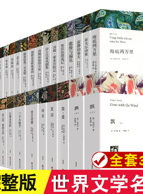 全30册 世界三十大名著经典书籍全套原著无删减简爱飘基督山伯爵外国经典文学初中生高中生阅读课外书籍 原版中文版小说正版