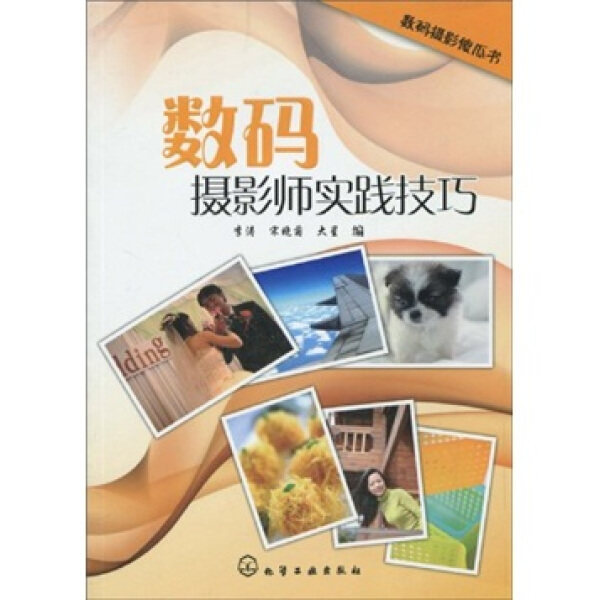 正版  数码摄影傻瓜书//数码摄影师实践技巧 李涛 宋晓菊 大星 化学工业使用感如何?