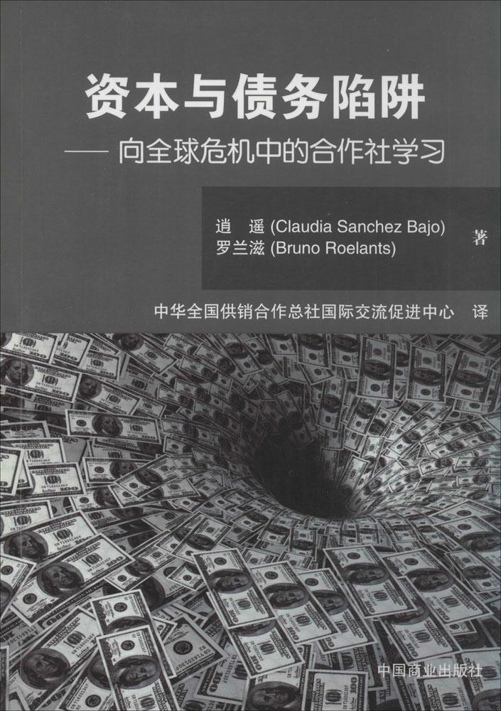 正版-资本与债务陷阱中国商业出版社9787504478573