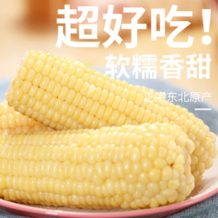谷田记玉米新鲜糯玉米东北特产真空粘黏玉米棒即食代餐白糯甜玉米